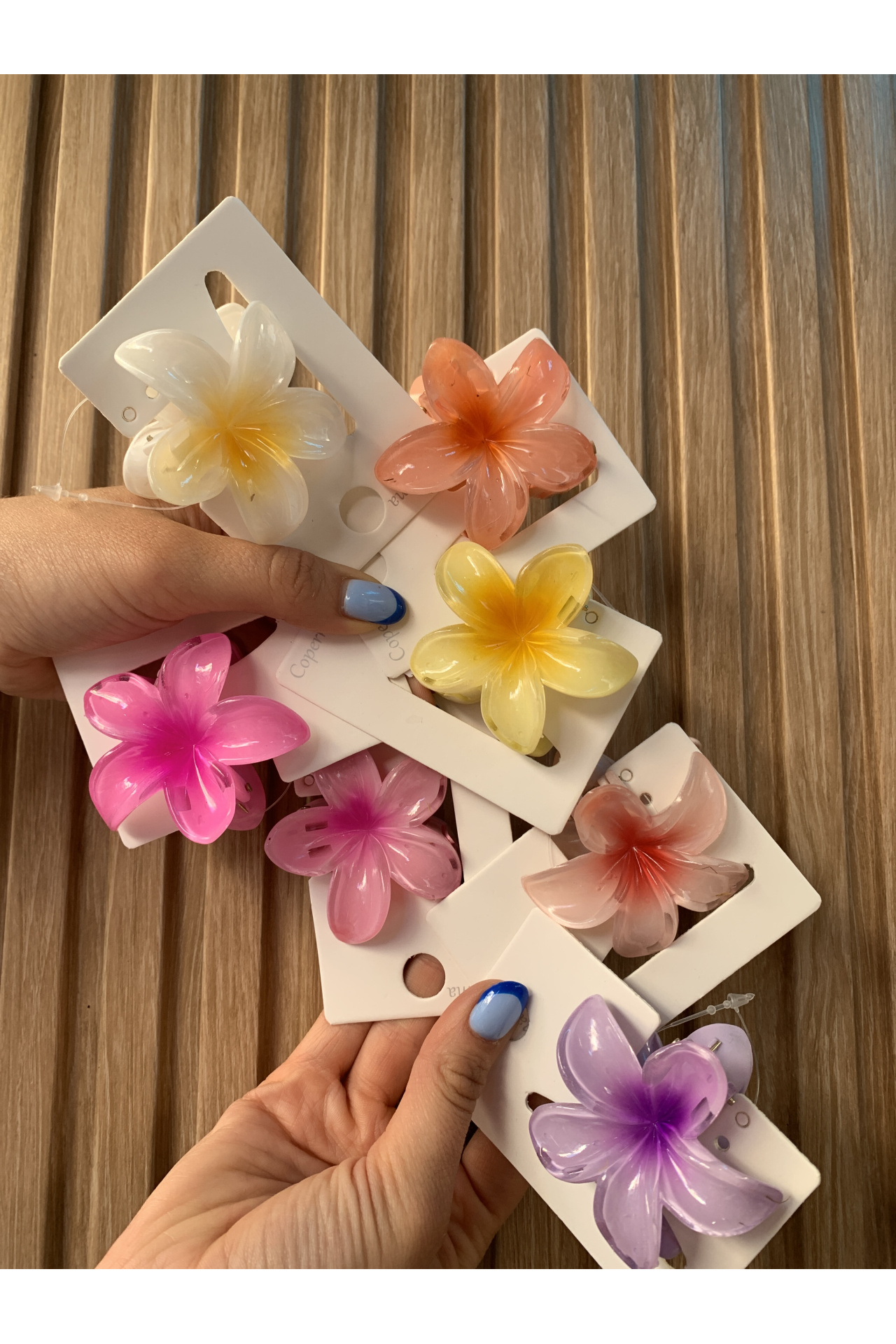 PINZA PELO HAWAI PEQUEÑA COLORES