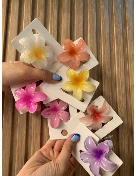 PINZA PELO HAWAI PEQUEÑA COLORES