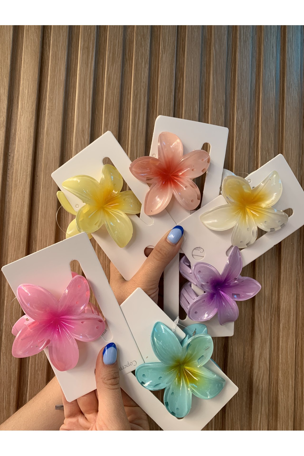 PINZA PELO HAWAI COLORES