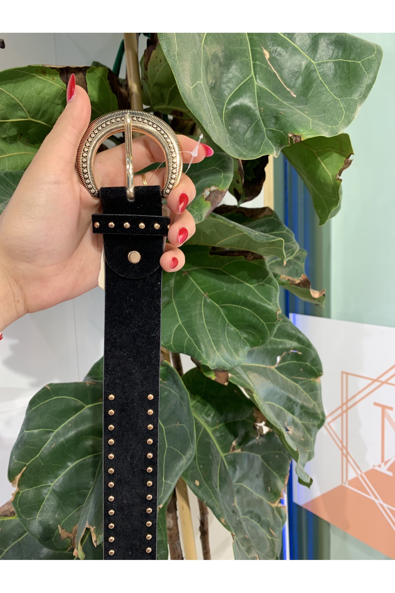 CINTURÓN TACHUELAS NEGRO