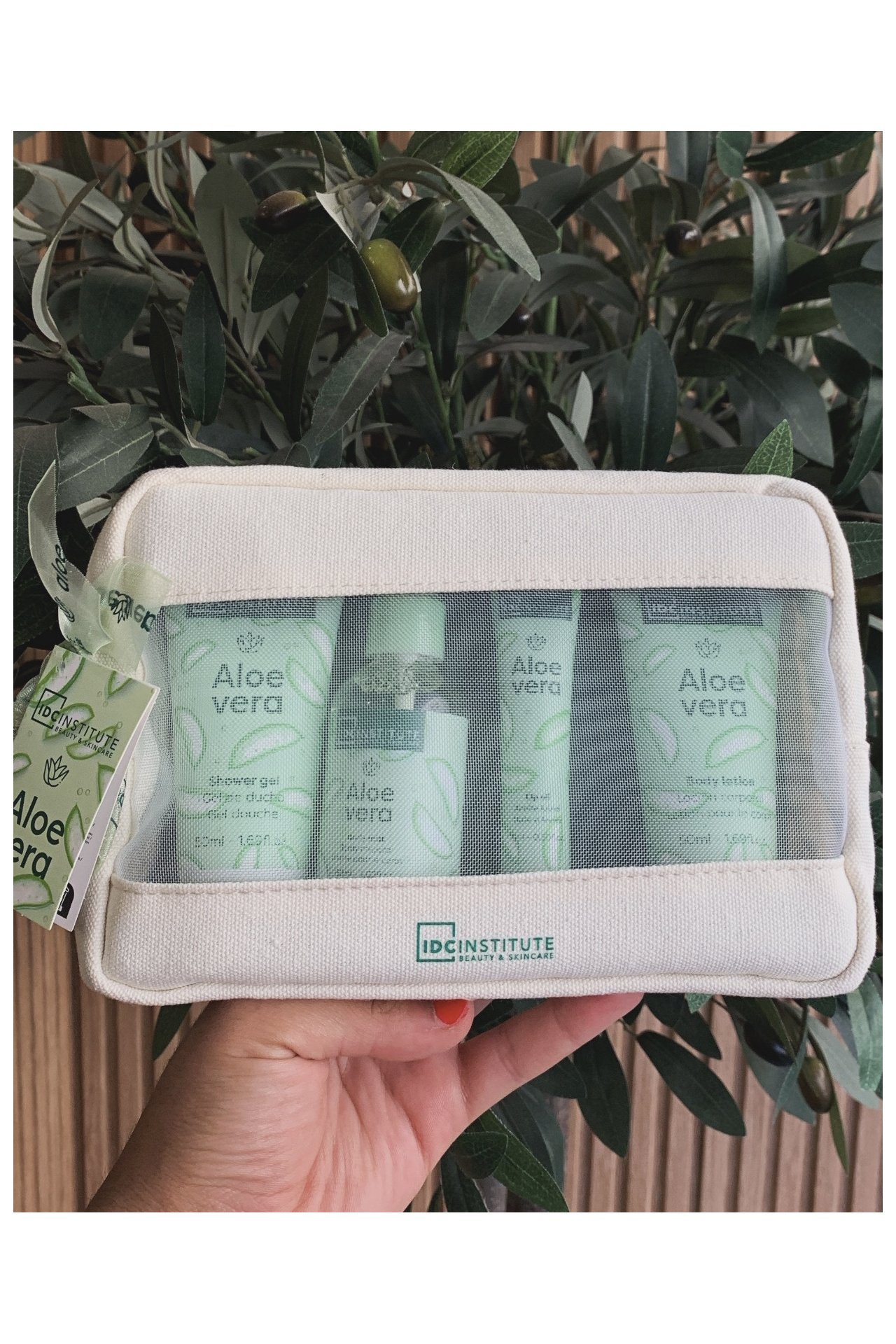 SET ALOE VERA NECESER